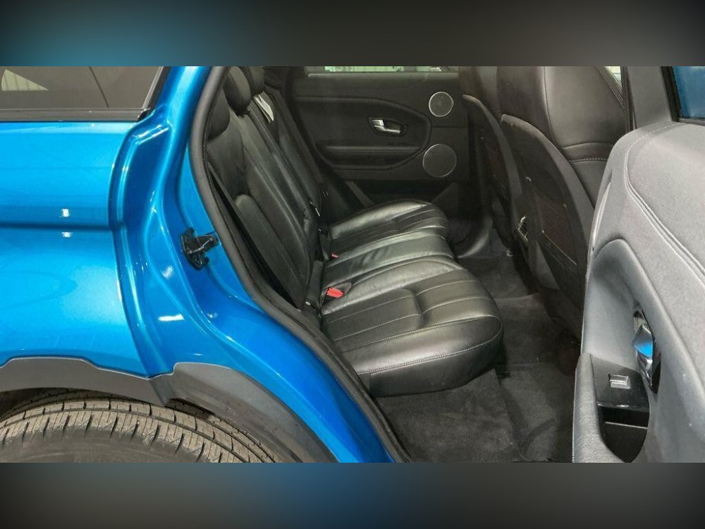 dd1119652c51429a85a904ef3e03db50 (1).jpg